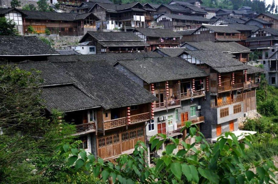 美人鱼的聚会